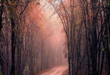 必赢官网：TA：所有迹象都表明下赛季阿诺德将为皇马效力.