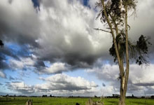 必赢官网：覃海洋因犯规成绩被取消潇湘晨报.