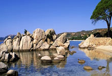 必赢官网：CBA官方罚单：山西外援迪亚洛竖中指侮辱性手势罚5万 主帅罚2万.